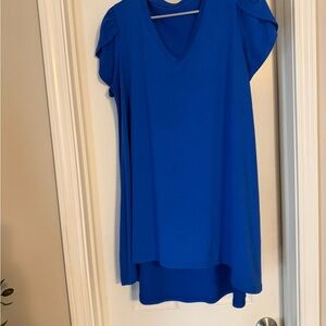 Amazon Women's Vibrant Blue V-Neck Tunic